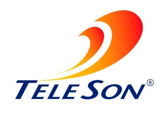 Teleson Direktion Leer | Leer