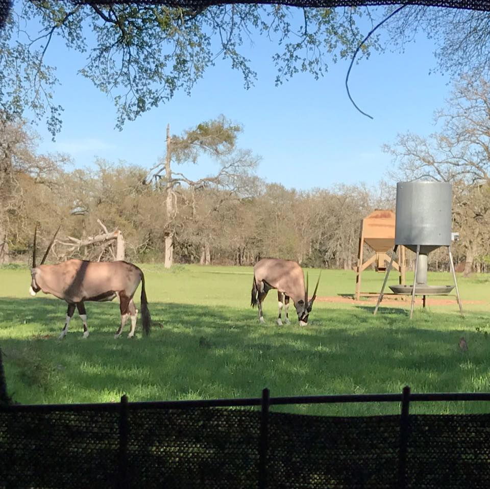 Benny Boyd's Double B Ranch | Salado TX