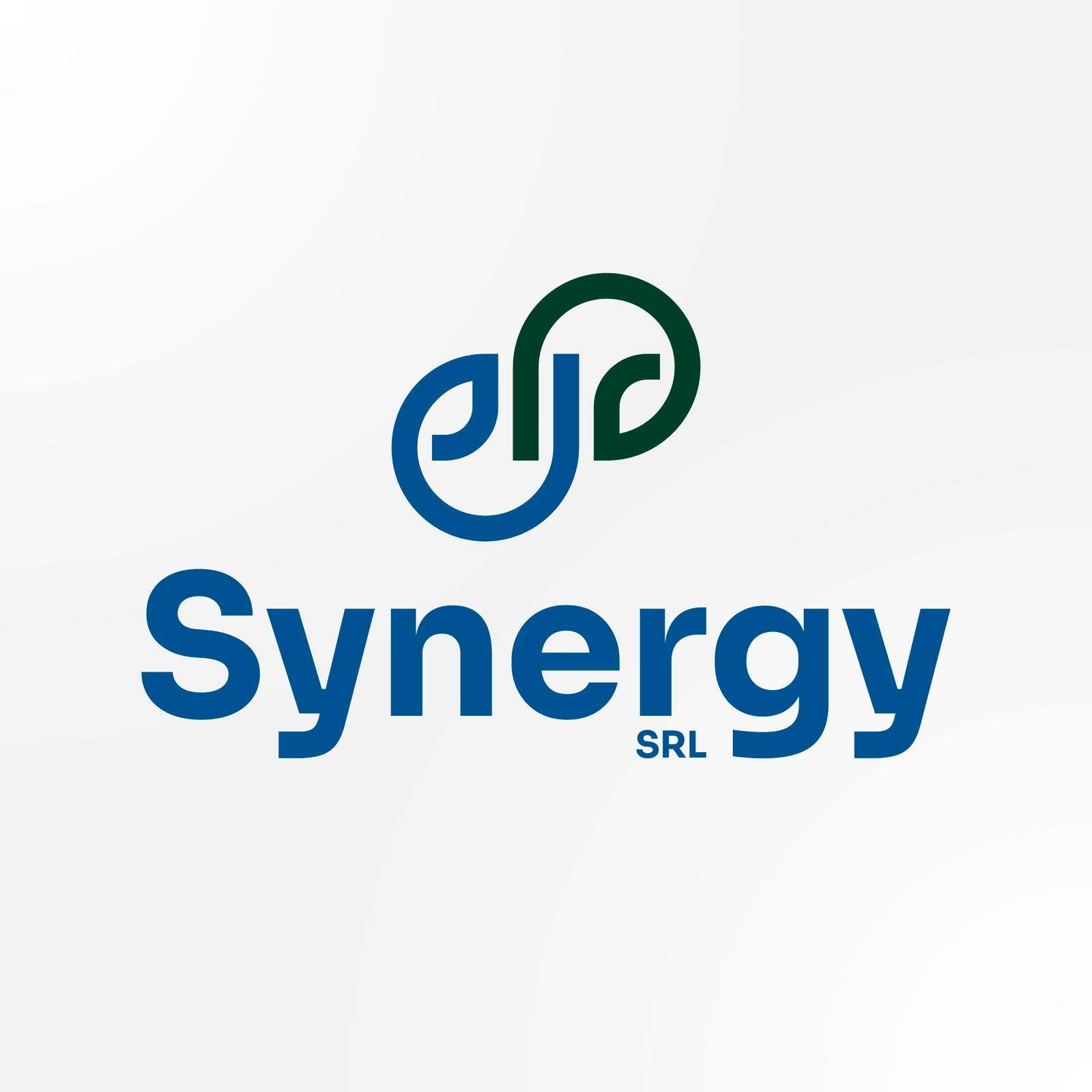 SYNERGY S.R.L. - www.synergy.com.py | Asunción