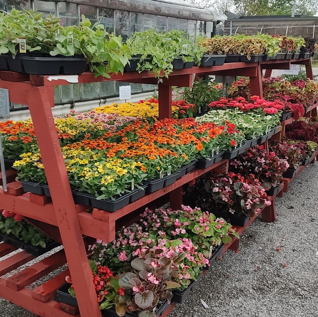 Highland Garden Center | Highland Heights KY