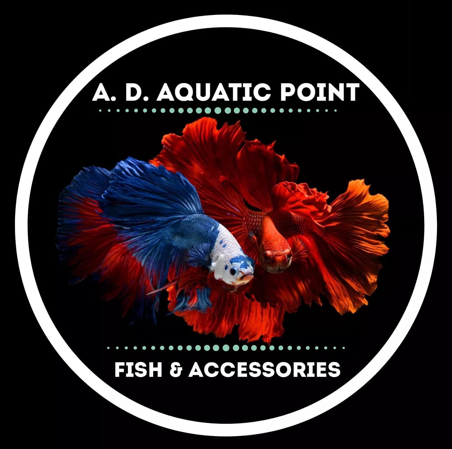 A. D. Aquatic Point Fish & Accessories | Naic