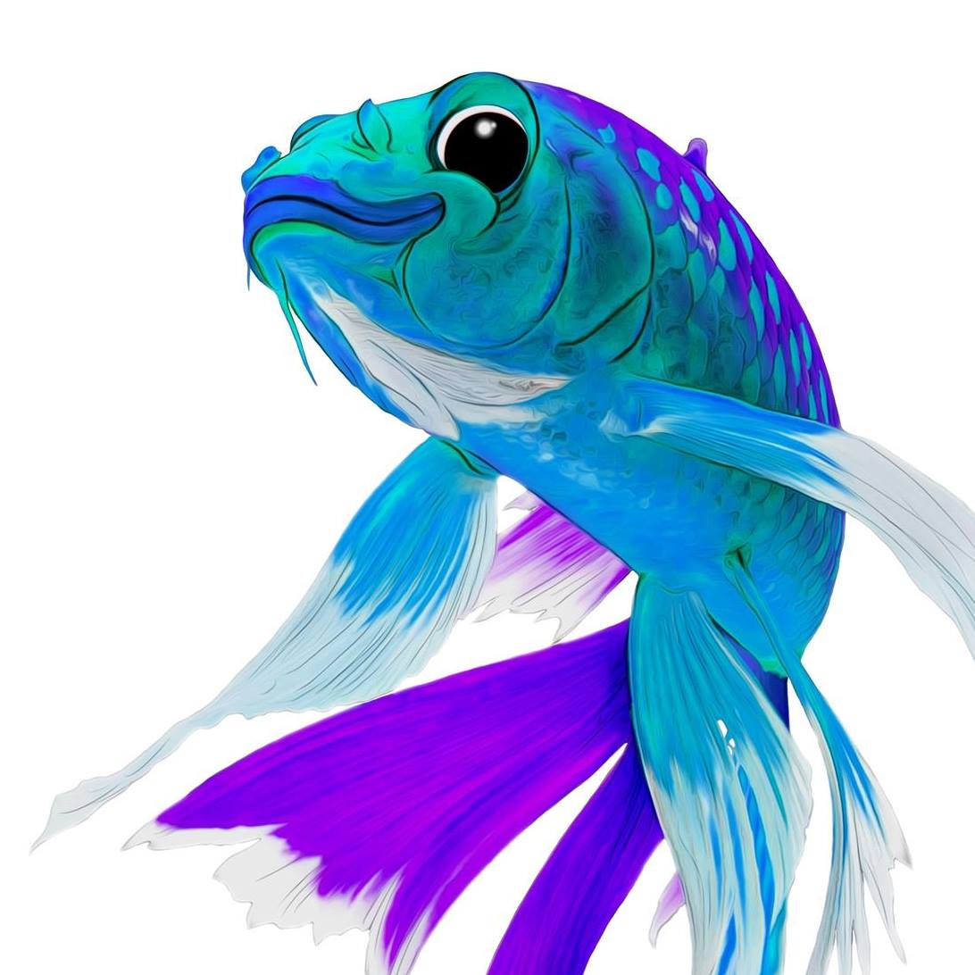 Blue Fish Pilates | Rainbow Beach QLD