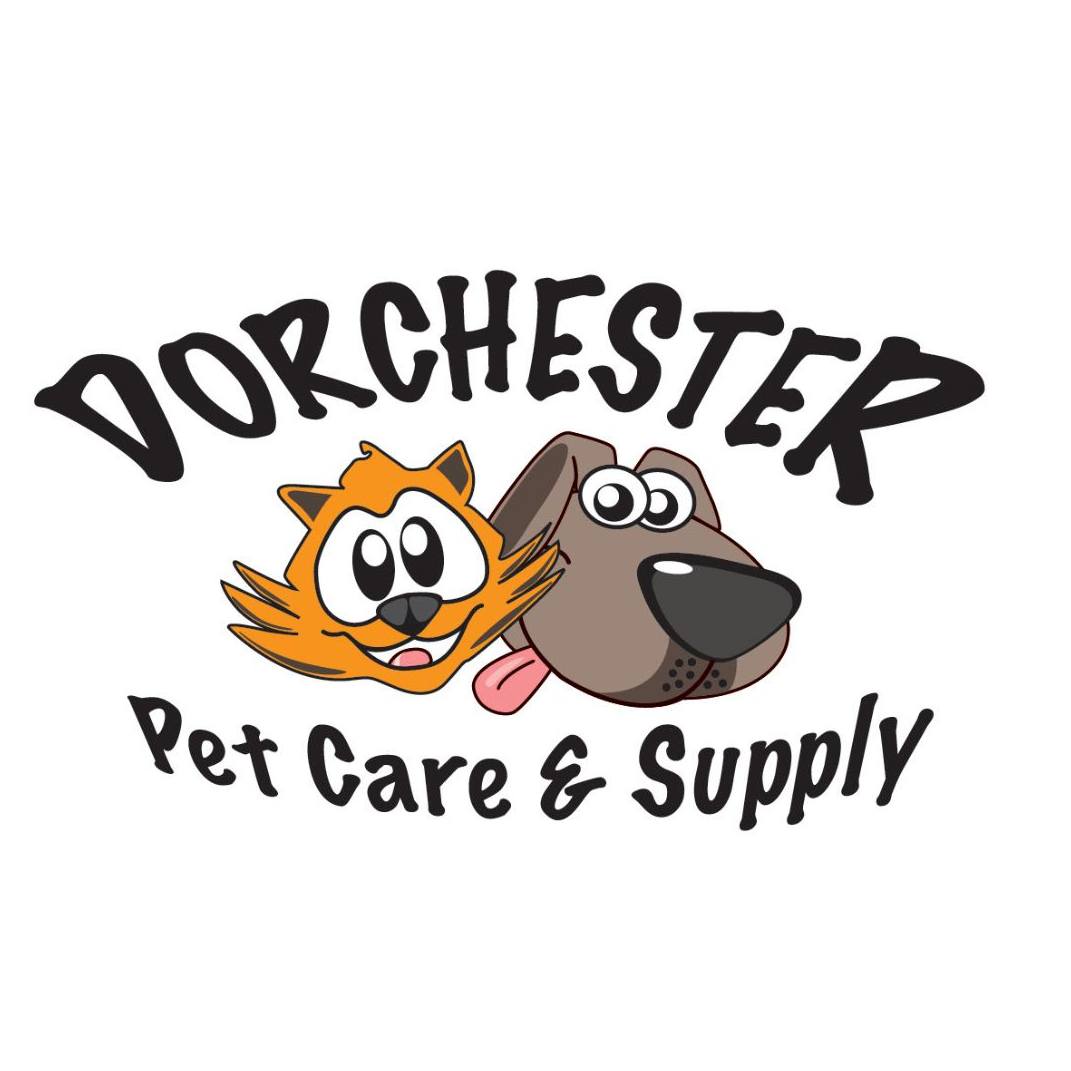 Alderney Dog Owners | Ever wondered what your dog was dreaming about ...