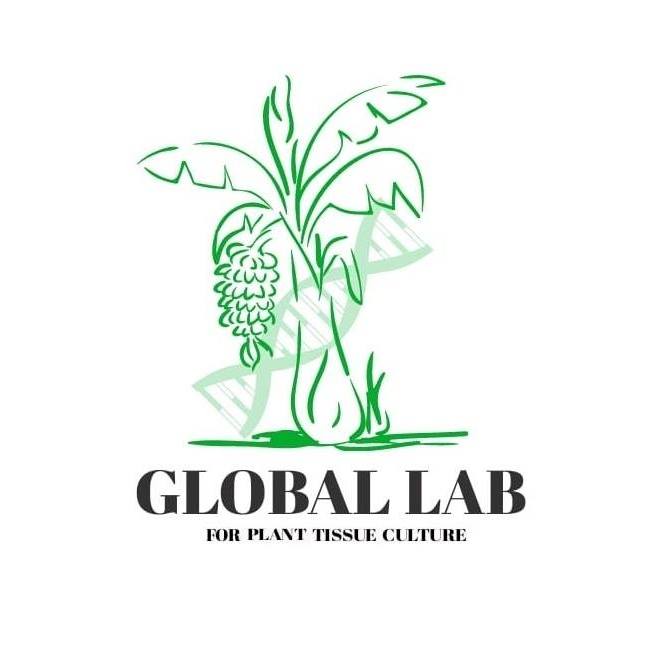 Global Lab