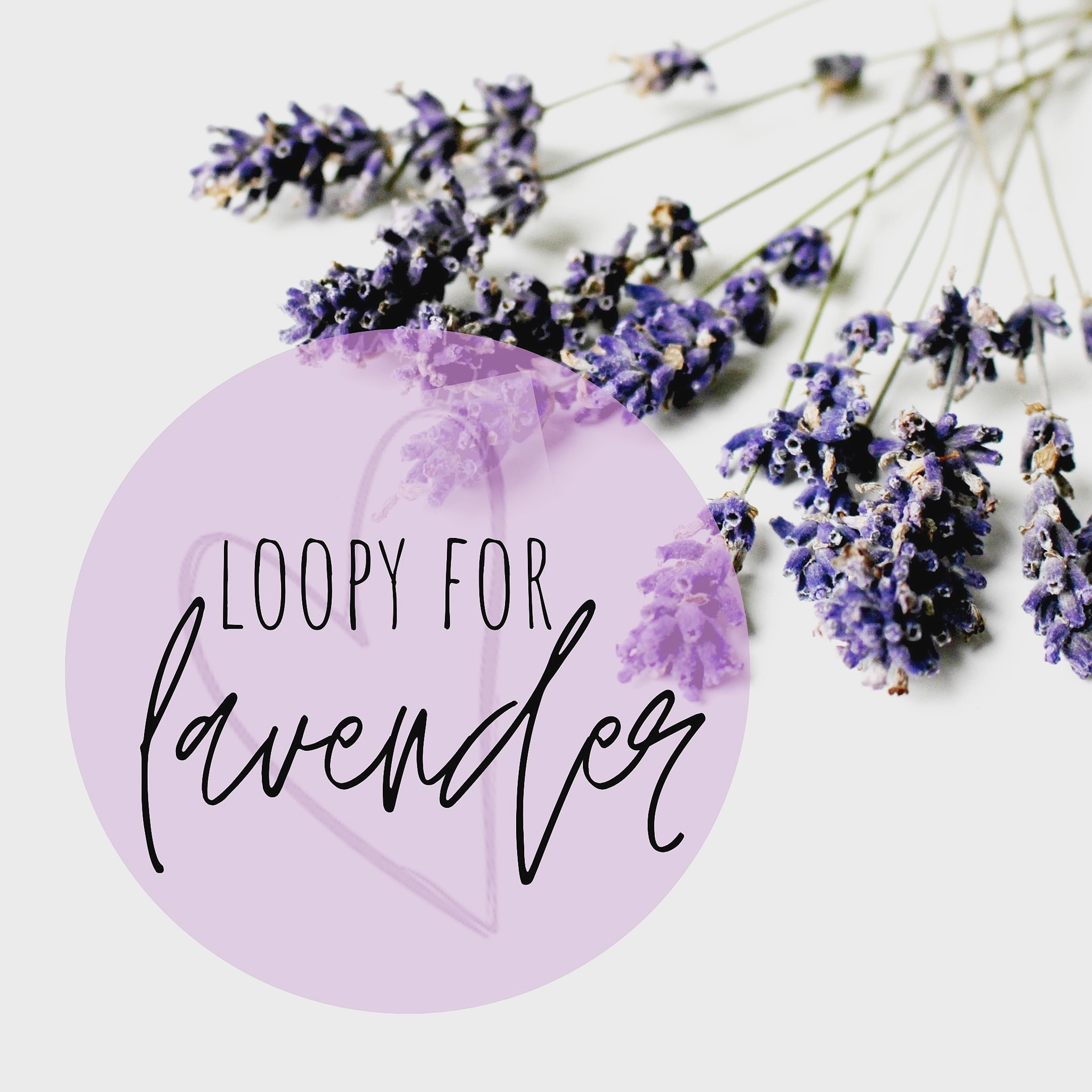 Loopy for Lavender