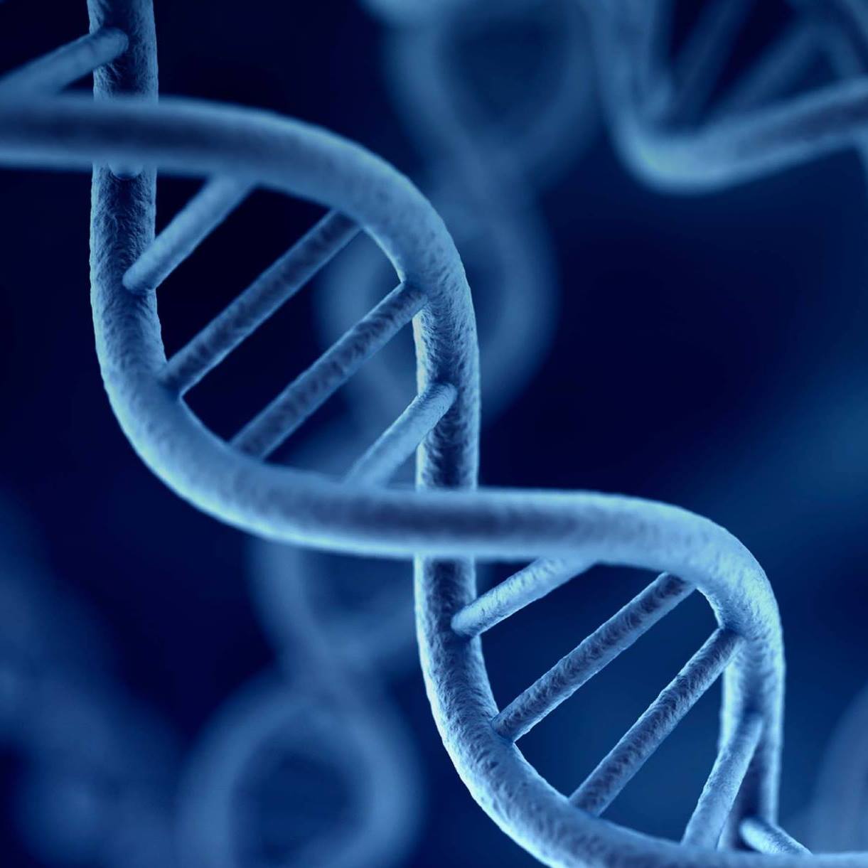 Molecular Biology & Genetics