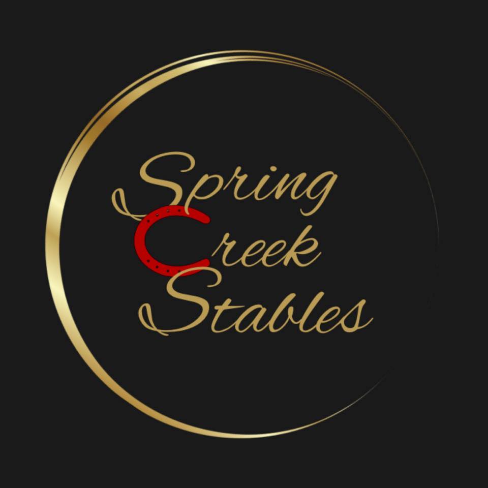 Spring Creek Stables | San Antonio TX