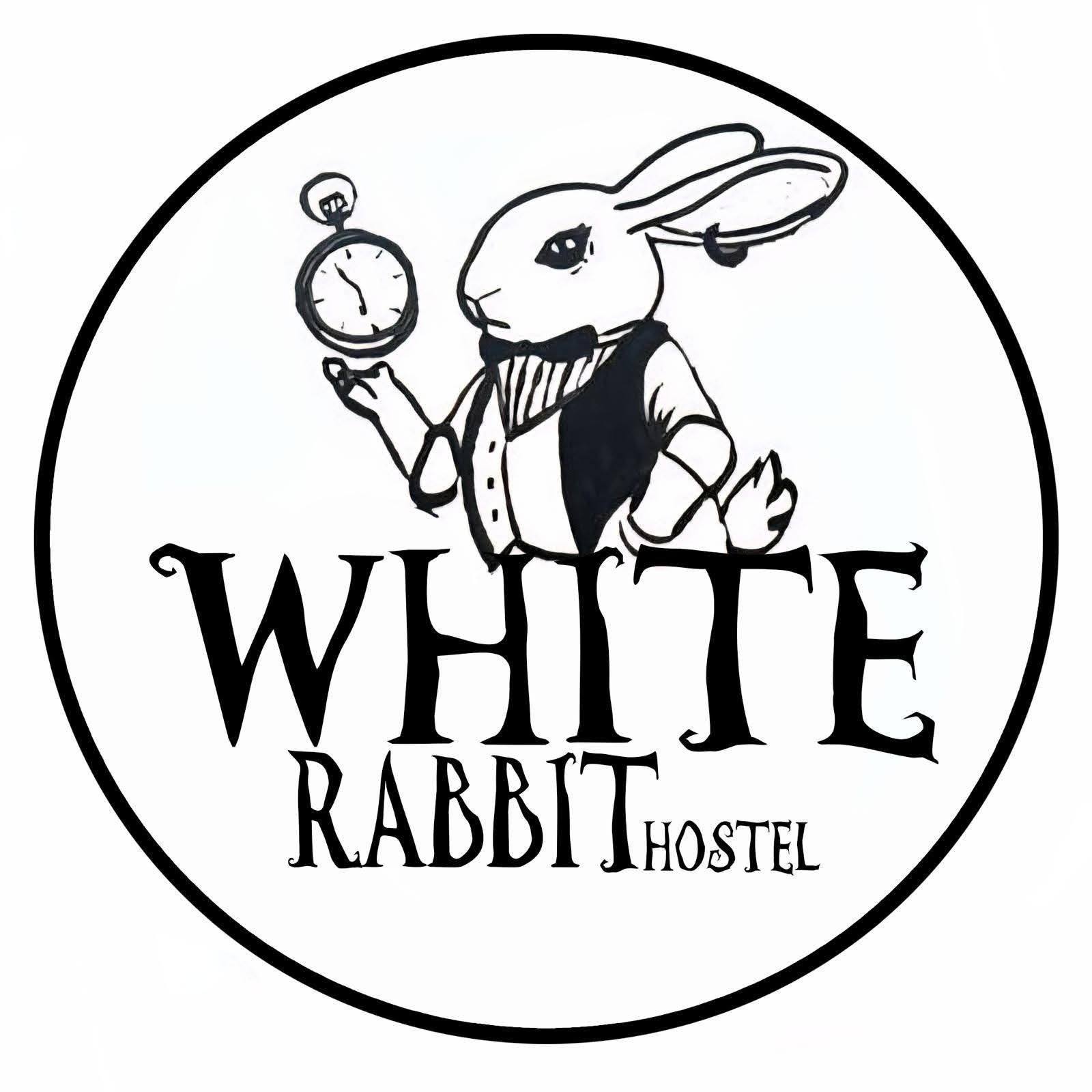 White Rabbit Hostel | Granada