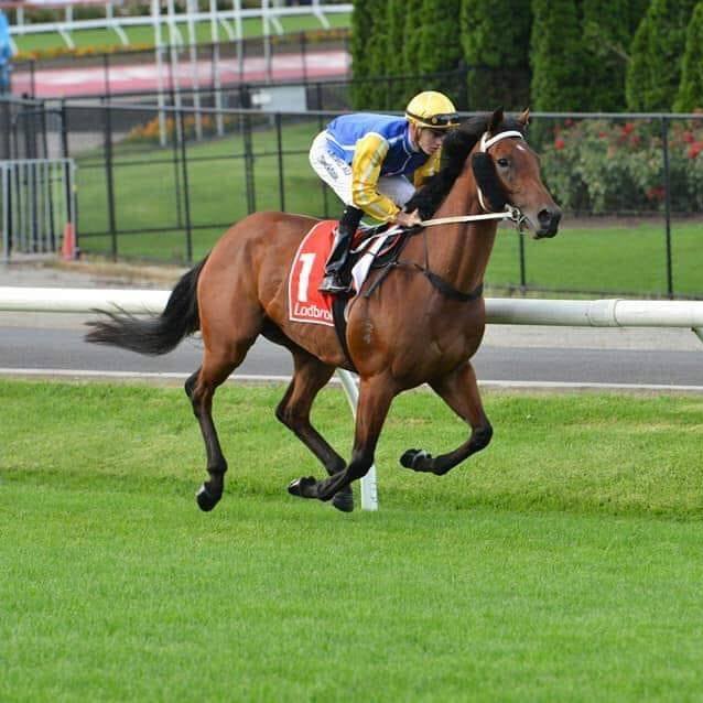 Chris Diplock Racing, breaking & pre training | Tynong VIC