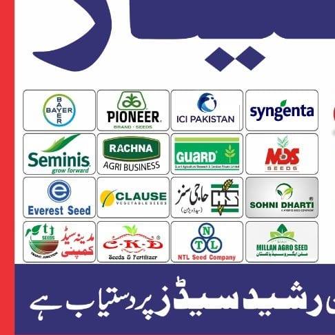 Rasheed Seeds | Multan