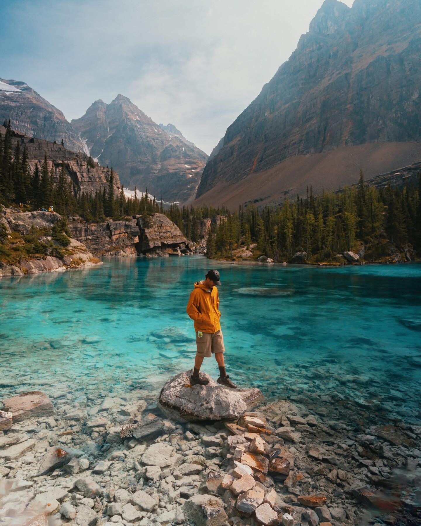 how’s it go again? | Cody-Tiger-Gray