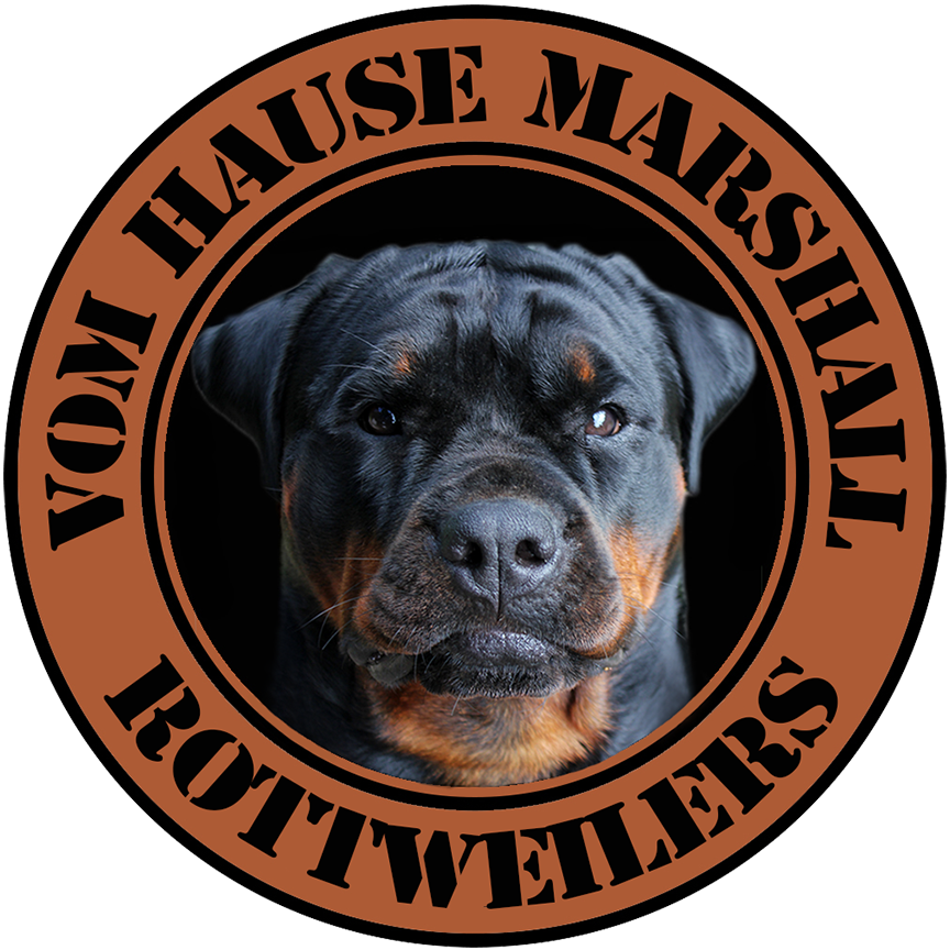 Vom Hause Marshall Rottweilers