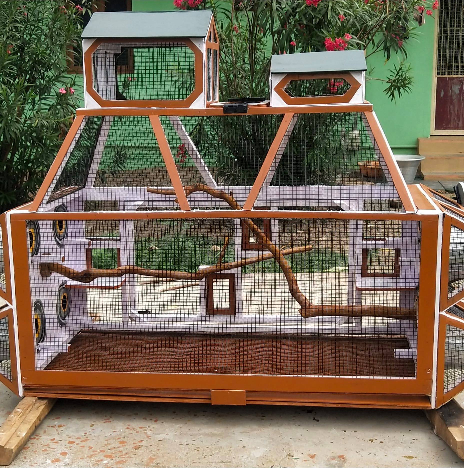 Curated visual reference: Fresh Look at Shanvi S Woodcraft Make Shanvi S Birds Cages Design
