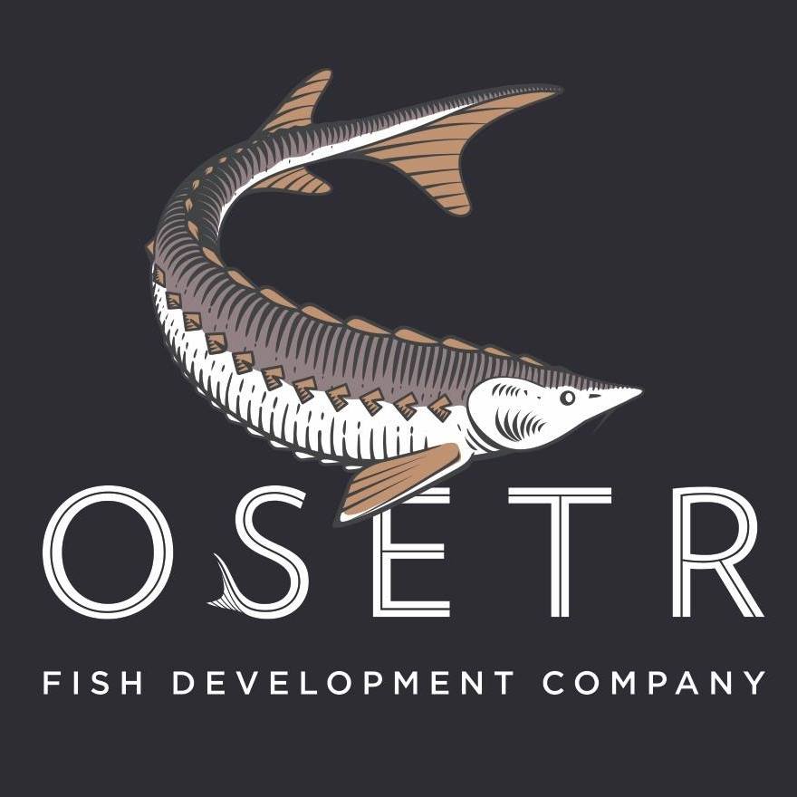 OSETR caviar - Друзі! Сьогодні розберемось, як отримують ікру з ...