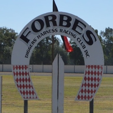 Forbes Diggers Harness Racing Club