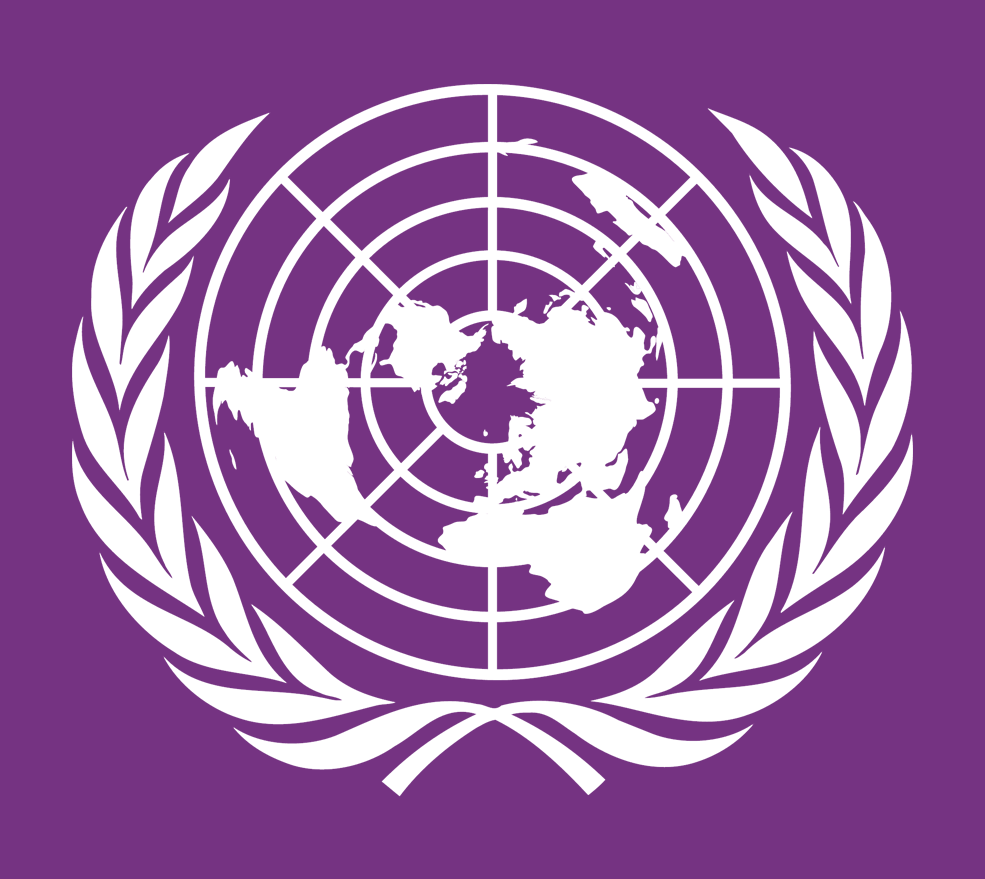 The NUMUN Review