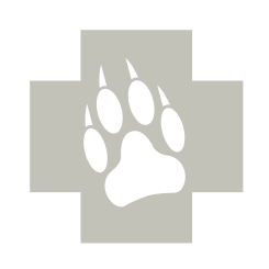 Do you know your dog's blood type? 🩸 K9 Storm and the crew are home for ...