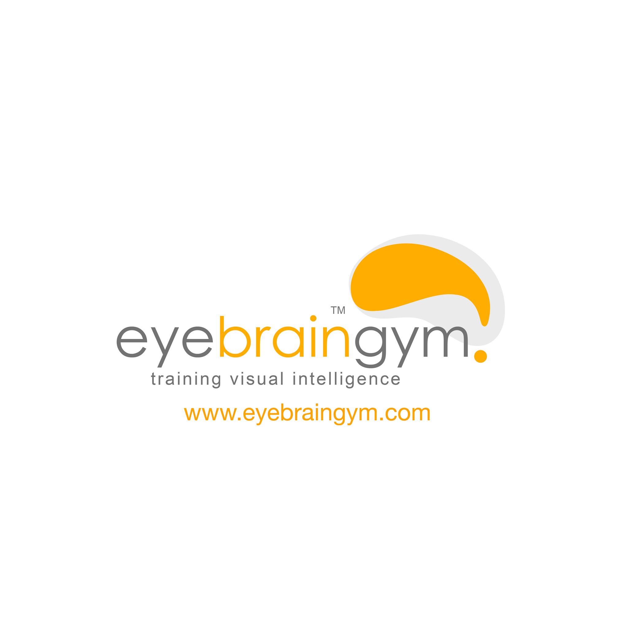 Eyebraingym - Being visually intelligent means being able to process ...