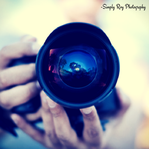 Simply Roy Photography