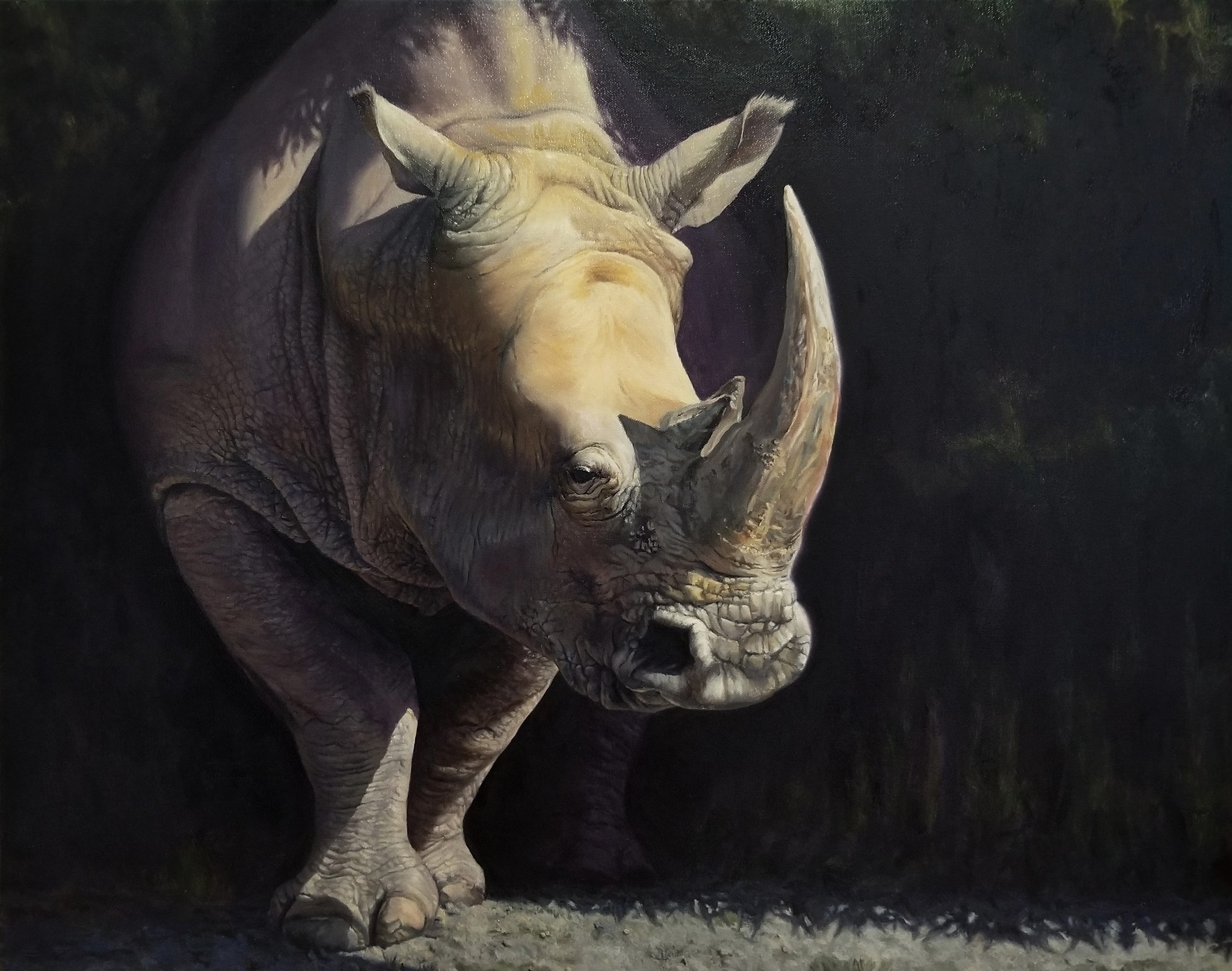 Art of Samuel Meas