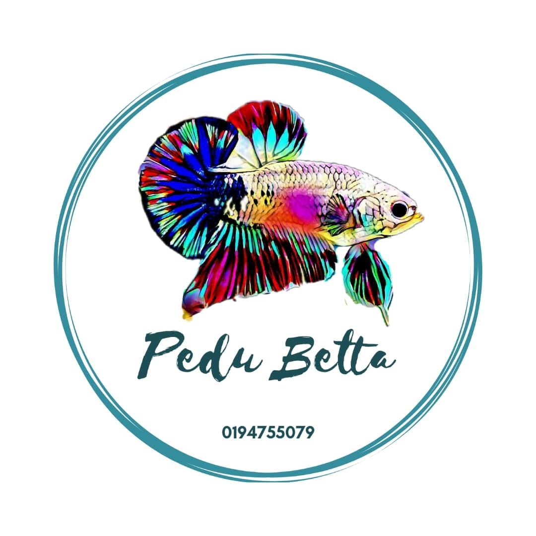 Pedu Betta