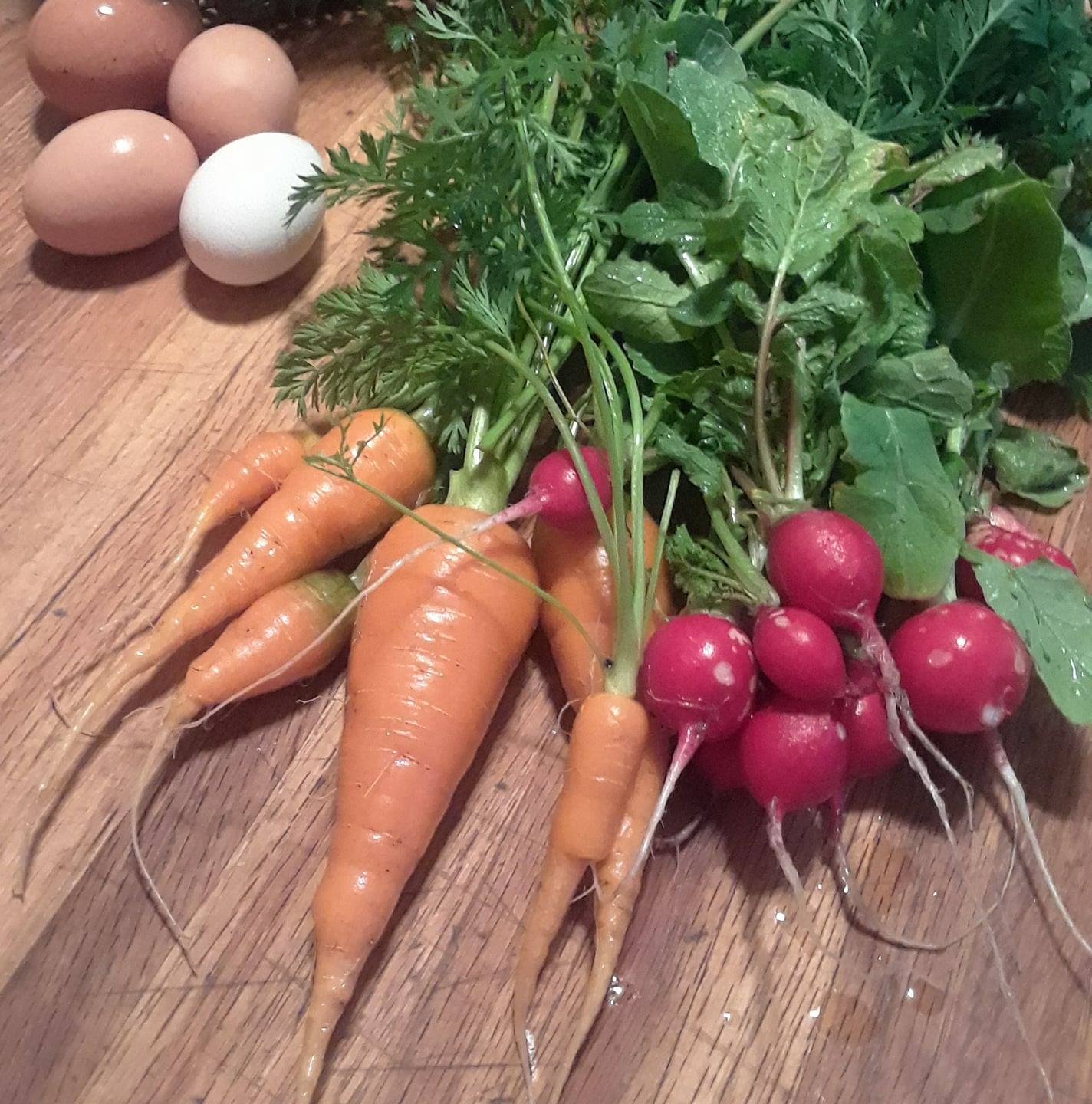 Digging Food: Gardening, Foraging, Cooking and Canning