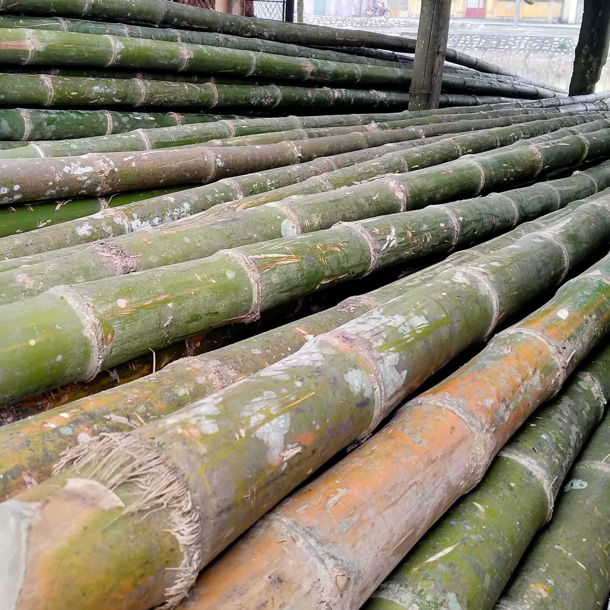 Đại Lý phân phối Tre Luồng - Cọc Tre Đóng Móng, vật liệu Công Trình ...