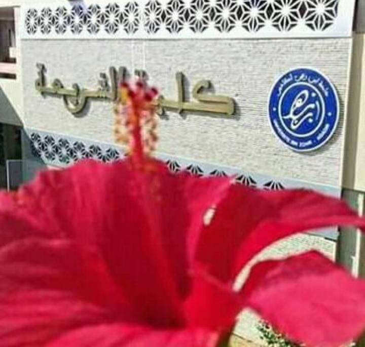 أبو عمر هداية