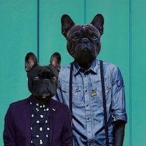 Dog Collective