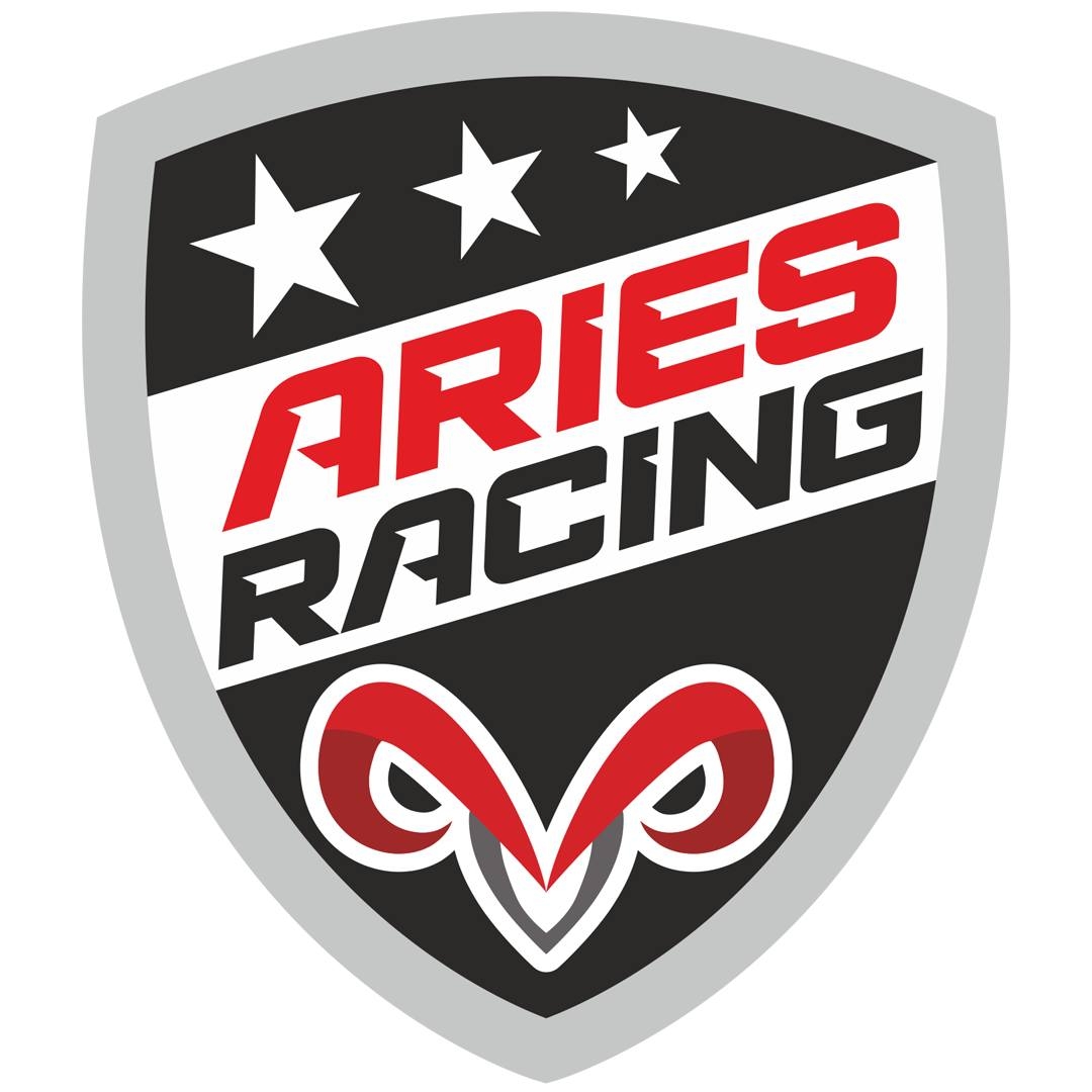 Aries Racing