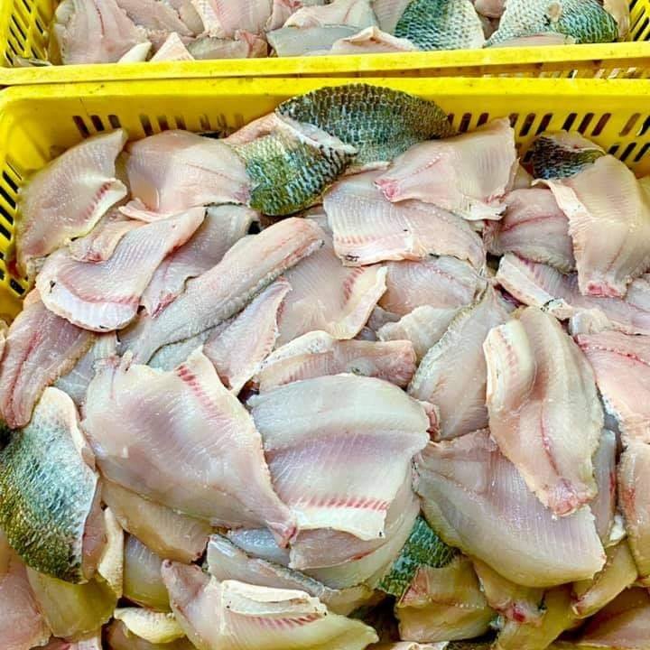 Đại Lý Cá Rô Phi Lọc