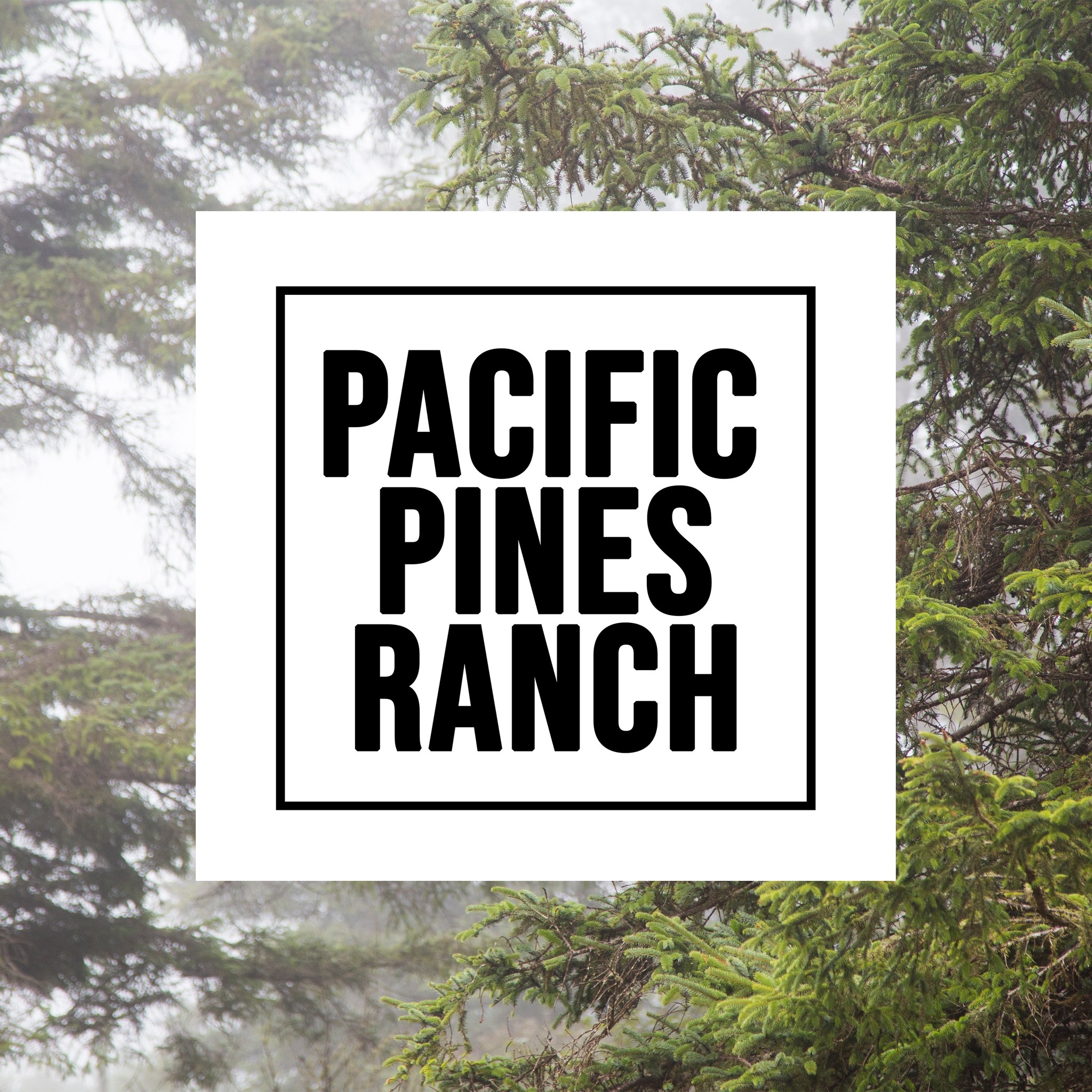 NEW VIDEO IS LIVE! Check it out and... - Pacific Pines Ranch | Facebook