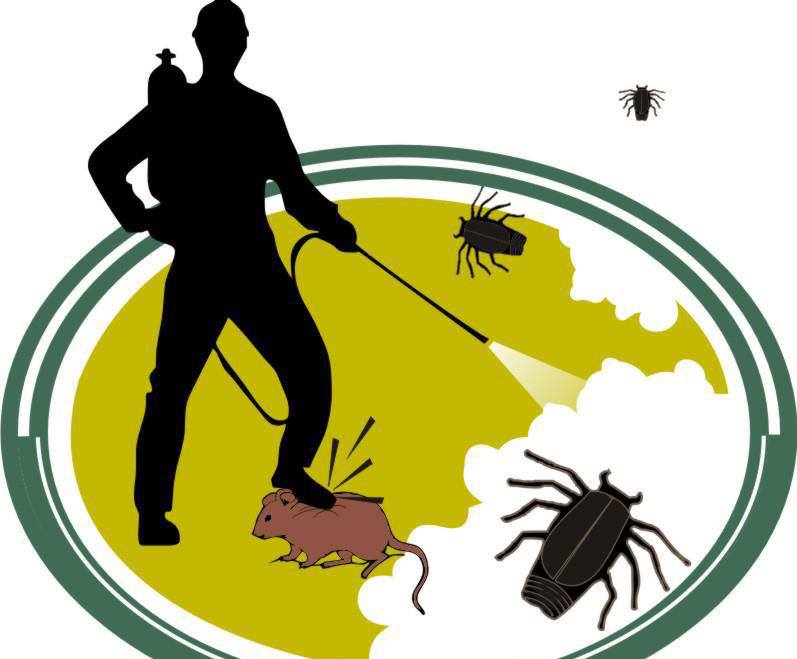 INFINITE PEST SOLUTIONS | San Juan