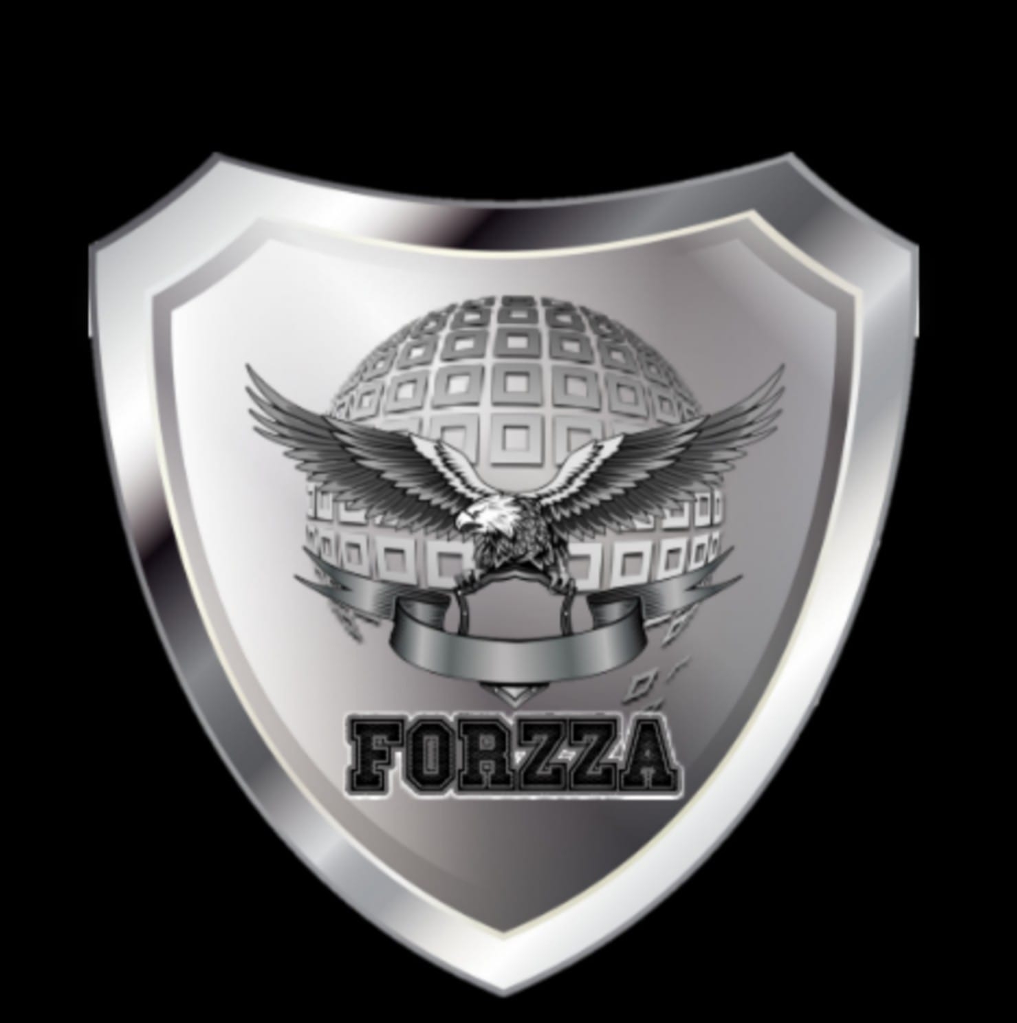 Forzza Seguridad Privada | Celaya