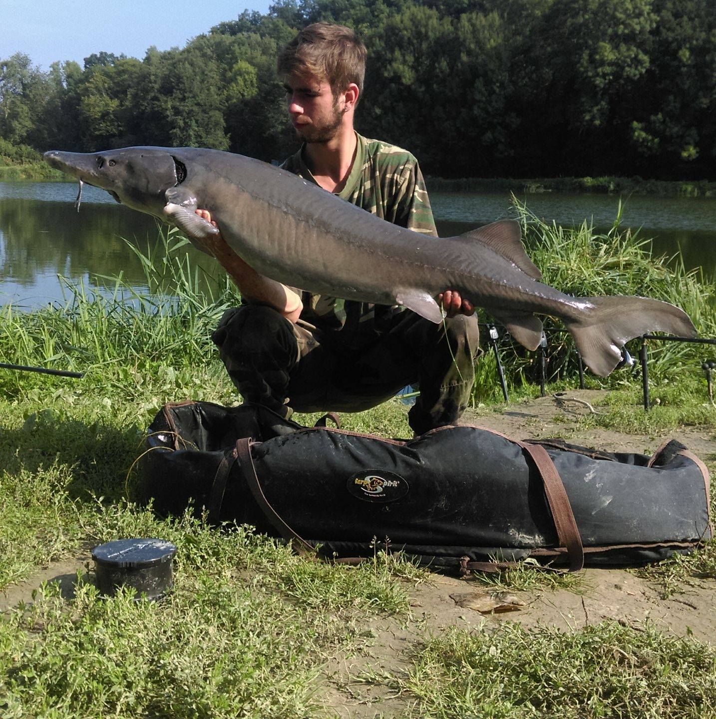 Dylan Carp-fish
