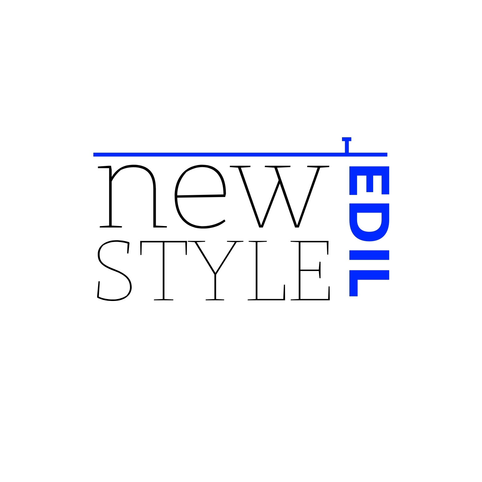New Style Edil Noe 09 srl & Fabio Silenzi