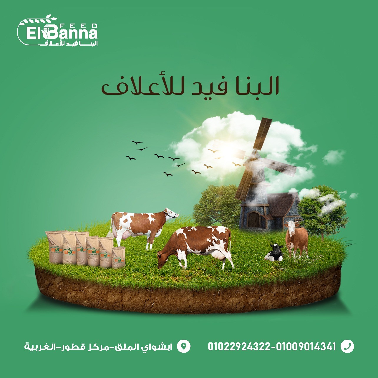البنا فيد للأعلاف