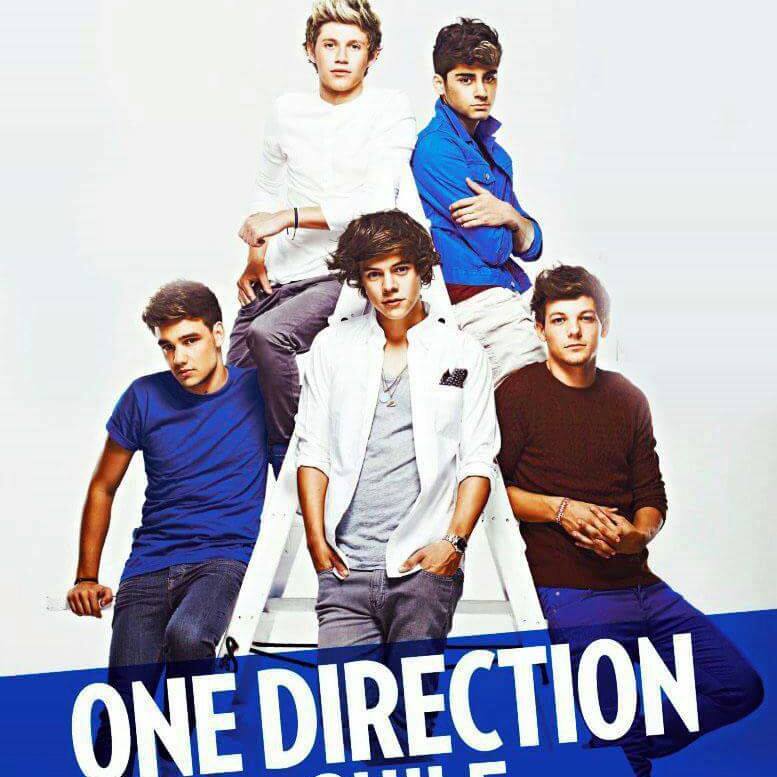 One Direction son mi vida