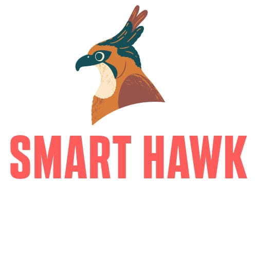 Smart Hawk Media | Barka'