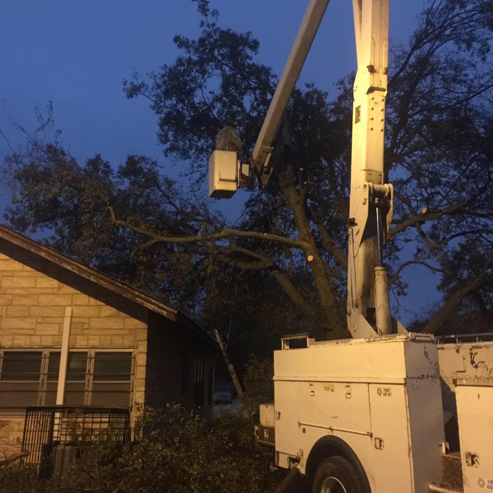 Shorty's lawn & tree service | Shawnee OK