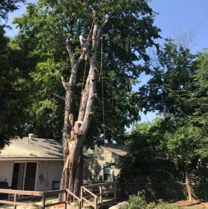 Clark Tree Service, LLC