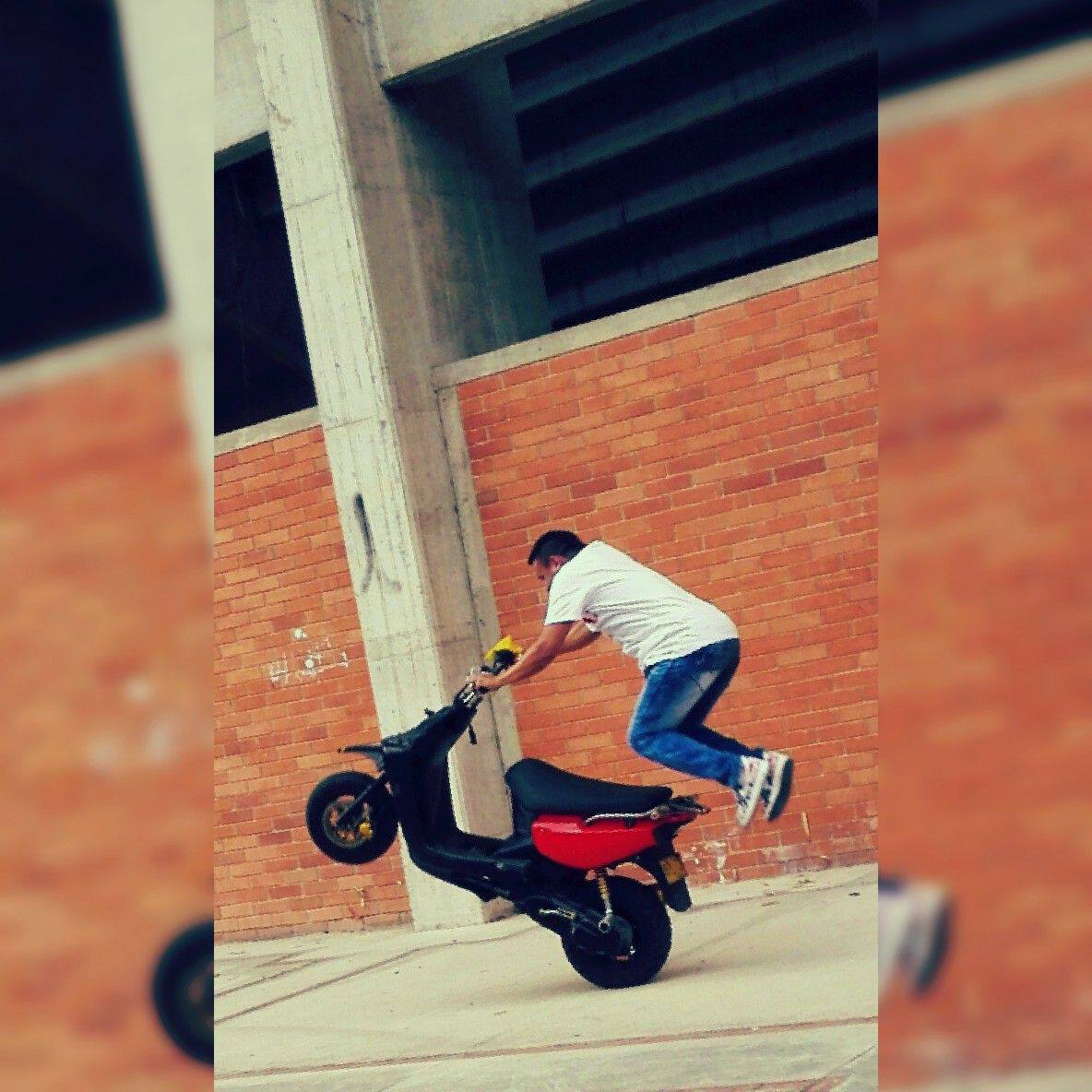 Davidd Stunt