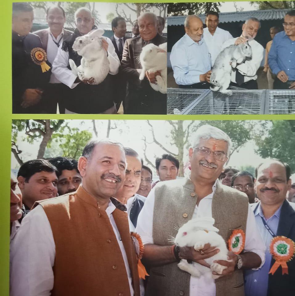 N new Indian rabbit farming Jhunjhunu Rajasthan all India