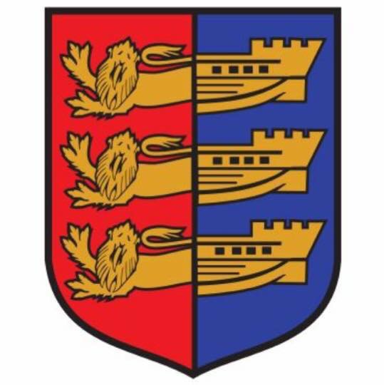 Dover Rangers under 7 2016/2017