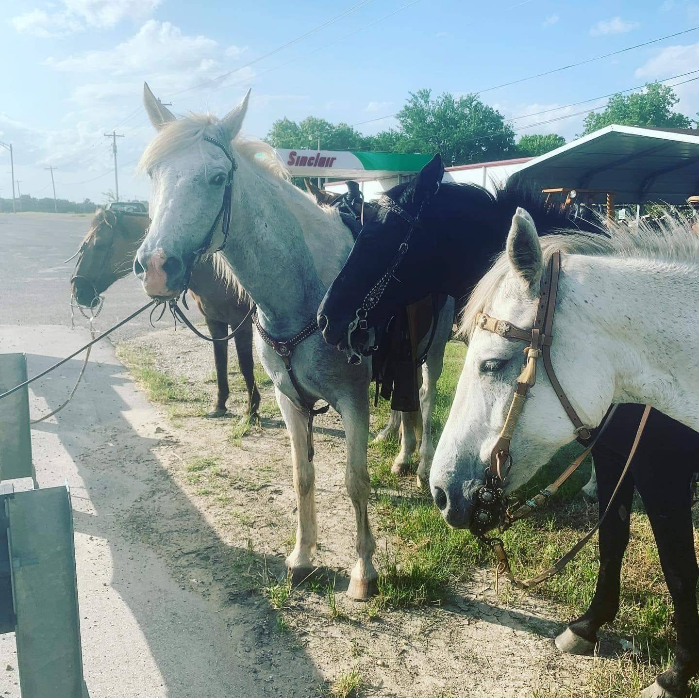 3P Ranch and Stable