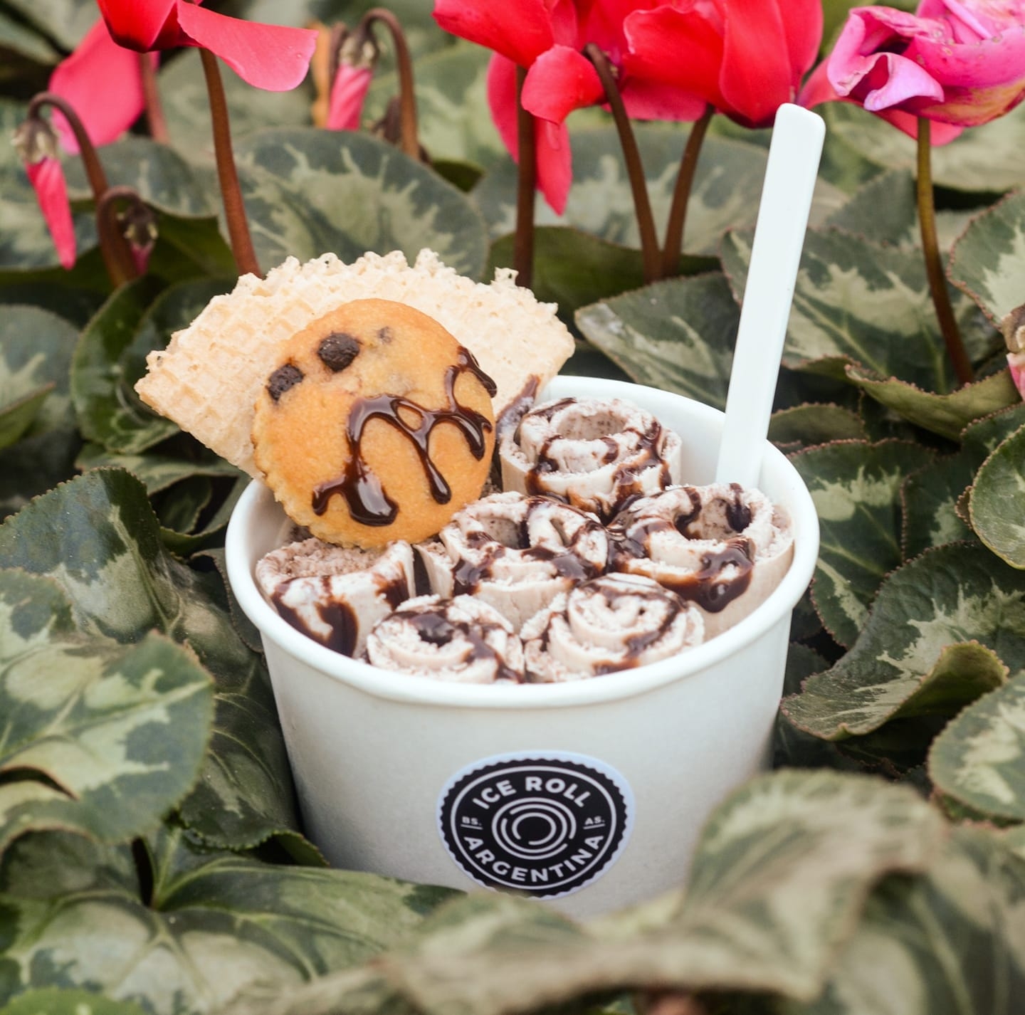 🤩 VOLVIÓ EL 🤩 Auténtico PISTAHO ITALIANO🇮🇹 Vos ya lo probaste? 🤤 📍Te ...