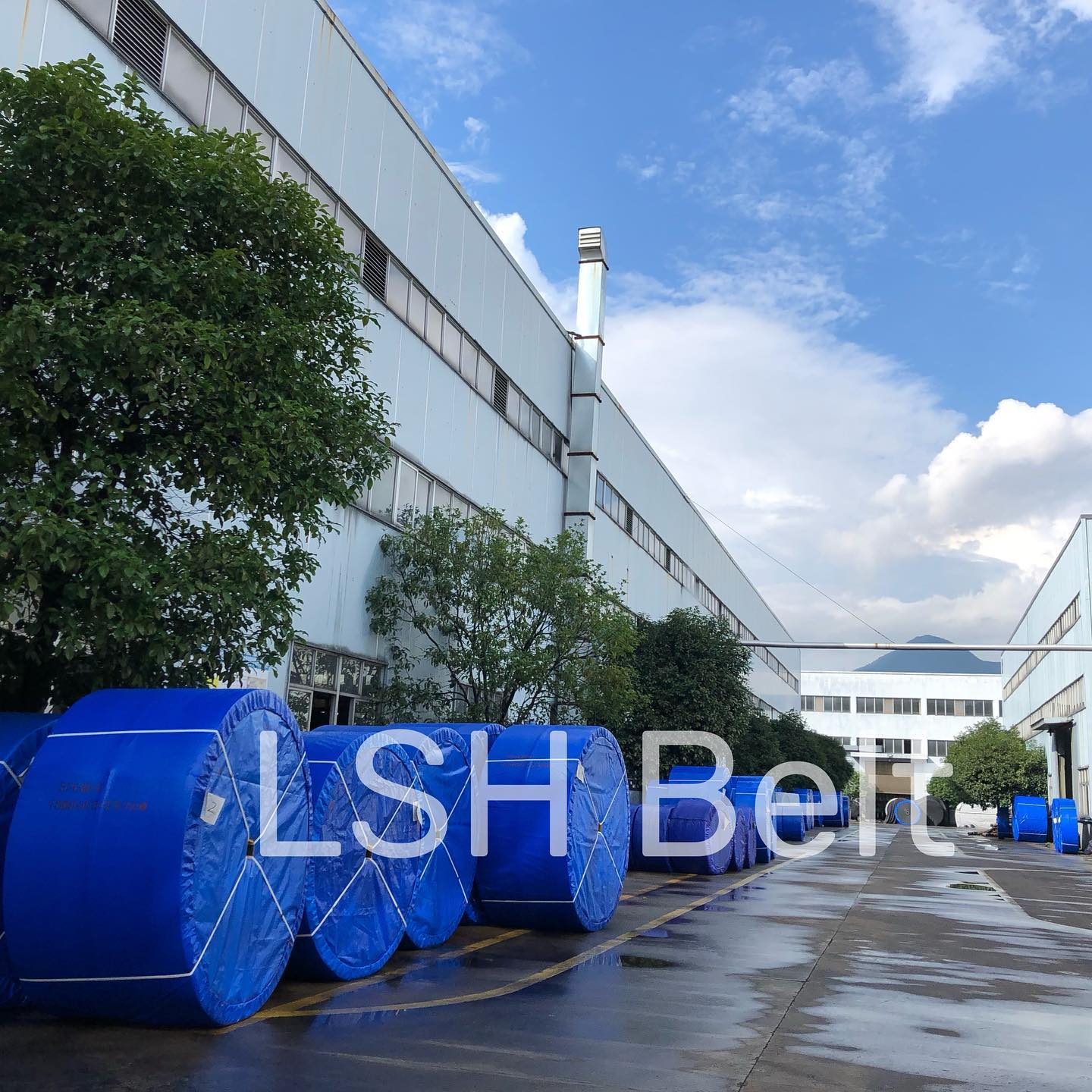 Zhejiang Longshenghua Rubber CO.,LTD. Taizhou