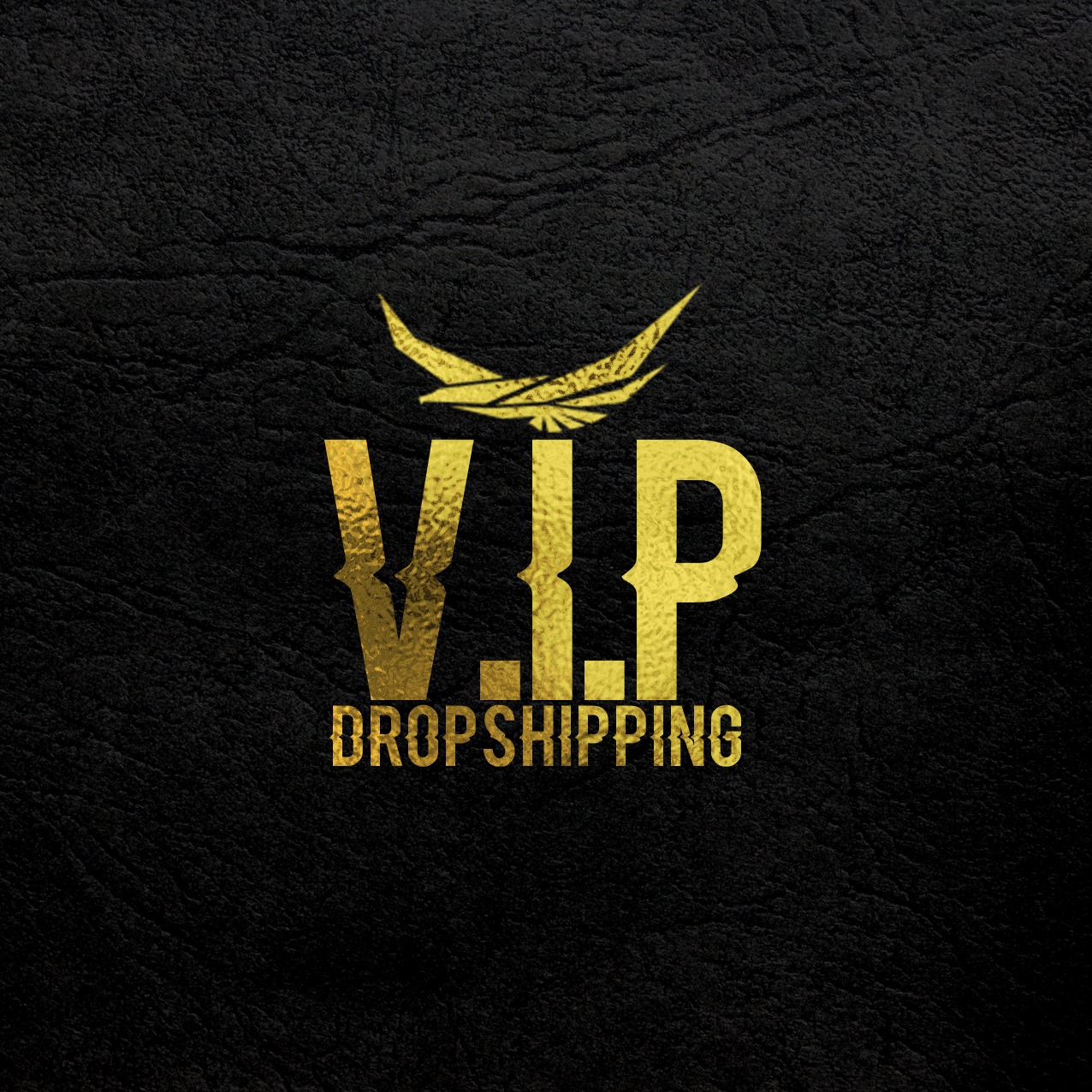 וי.איי.פי דרופשיפינג - VIPDropshipping קורס דרופשיפינג באיביי המקיף בישראל