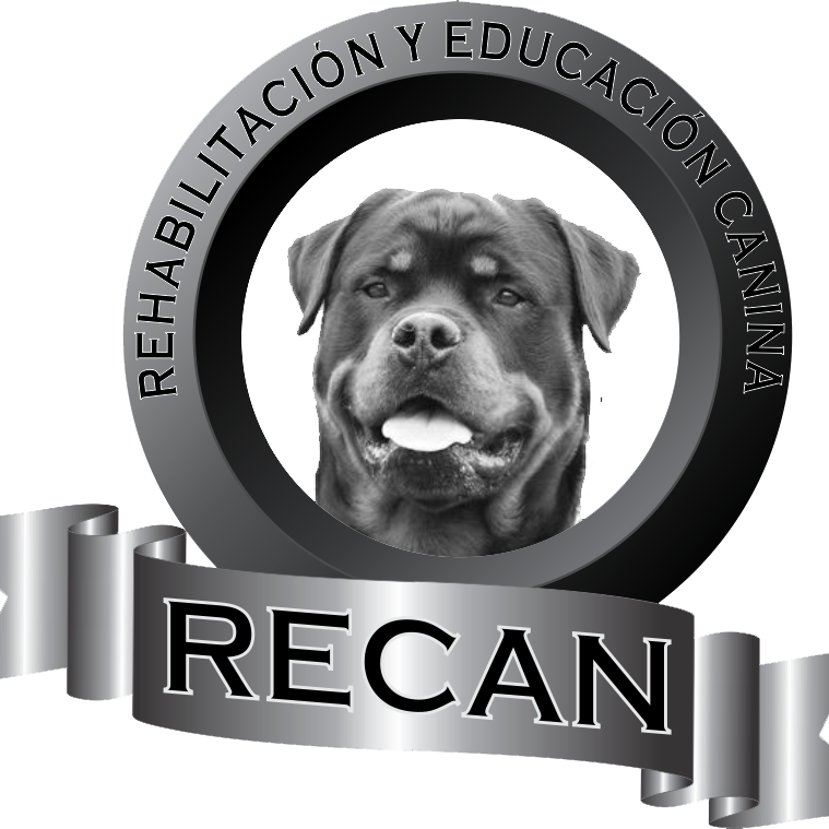 RECAN Rehabilitación y Educación Canina