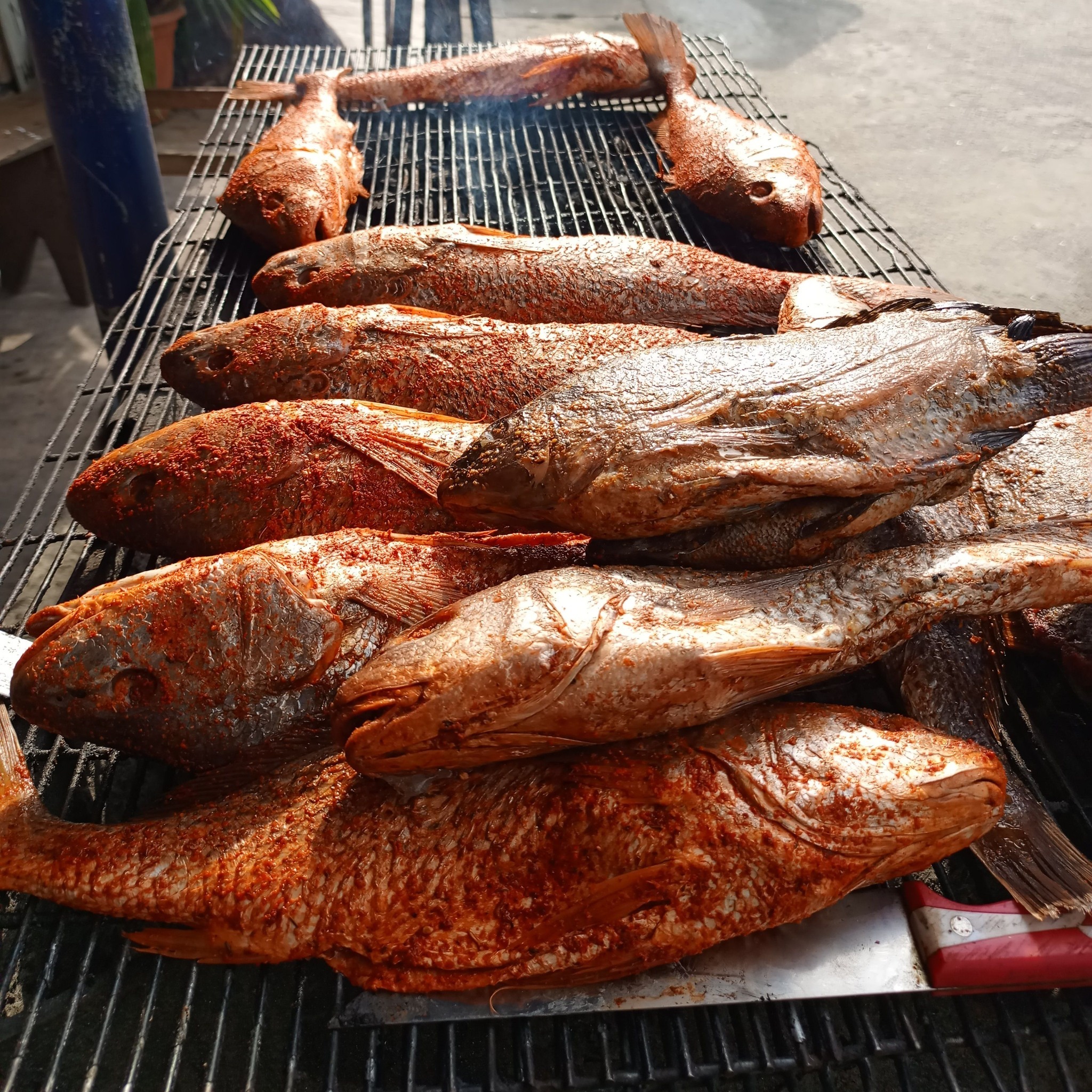 Fish Delight BBQ services | Port Harcourt